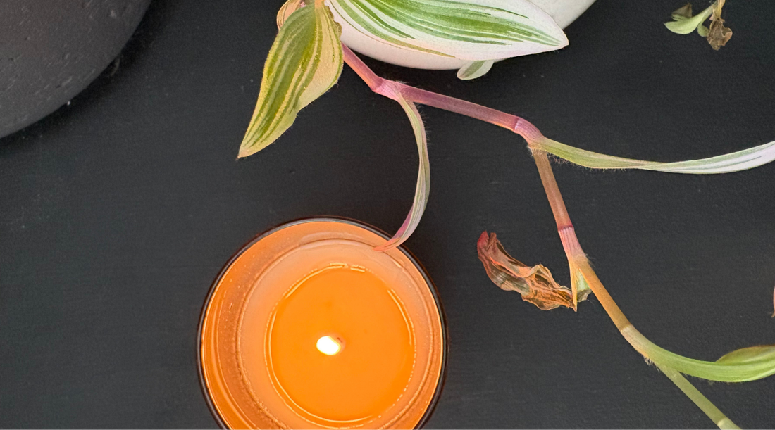 How to Stop Candle Tunnelling (Easy Fixes That Actually Work)